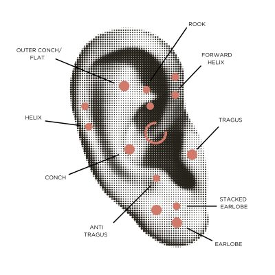EAR ANATOMY 2